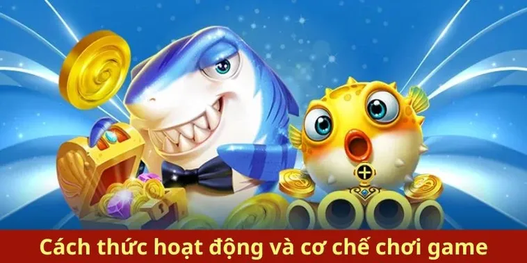 Bí Quyết Chơi Bắn Cá Royal Fishing OK365 Thắng Lớn Dễ Dàng Hơn Bao Giờ